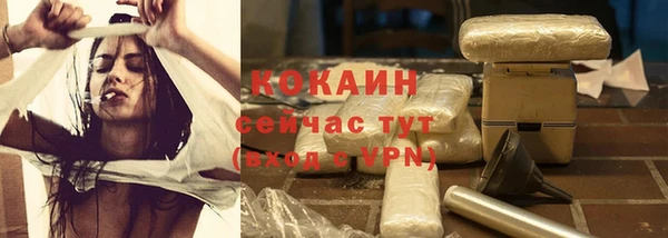 молекула духа Алексеевка