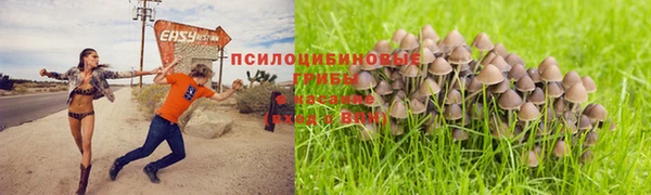 дмт Алексин
