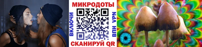 Галлюциногенные грибы Magic Shrooms  Бирюсинск 